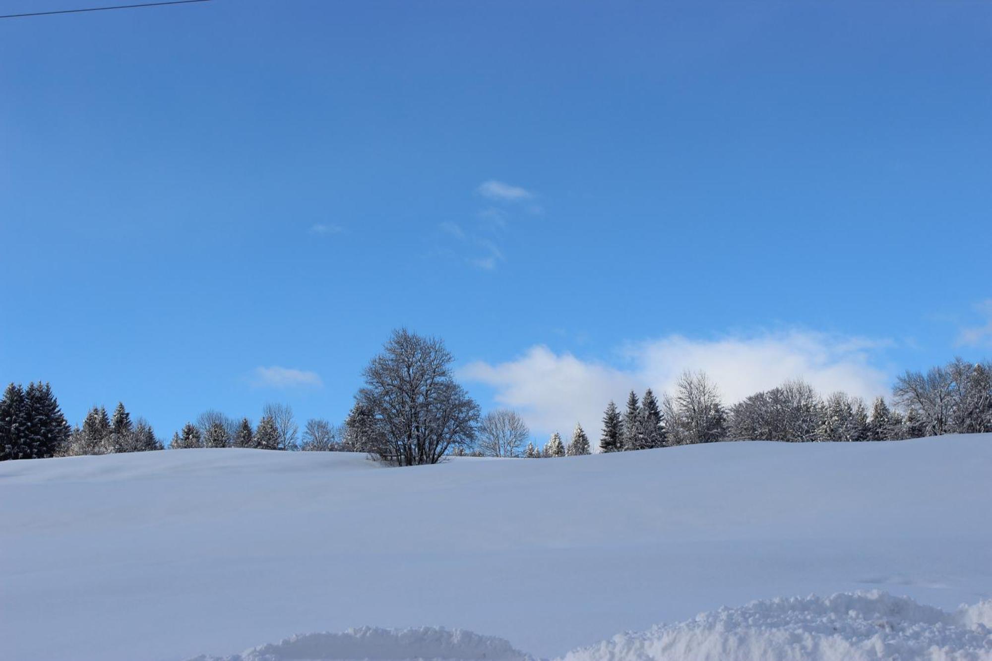 Le Chalet D'Ulysse Araches-la-Frasse ภายนอก รูปภาพ