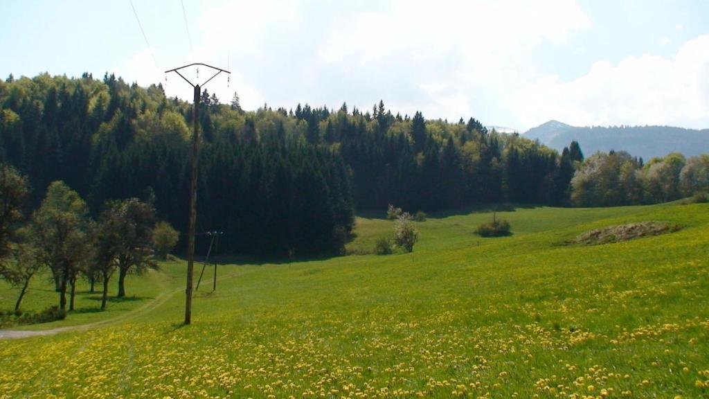 Le Chalet D'Ulysse Araches-la-Frasse ภายนอก รูปภาพ