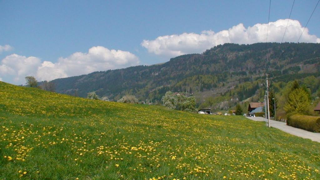 Le Chalet D'Ulysse Araches-la-Frasse ภายนอก รูปภาพ
